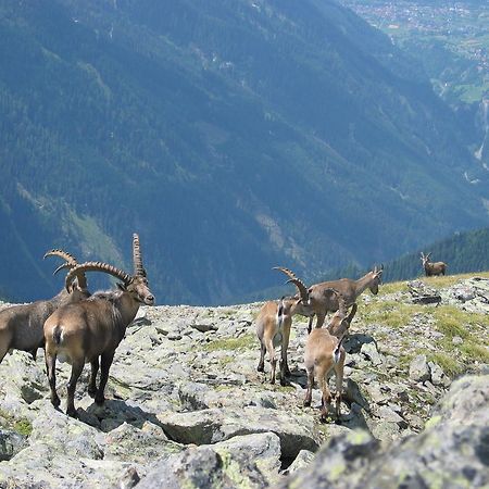 Apart Gletscherblick Kaunertal Εξωτερικό φωτογραφία