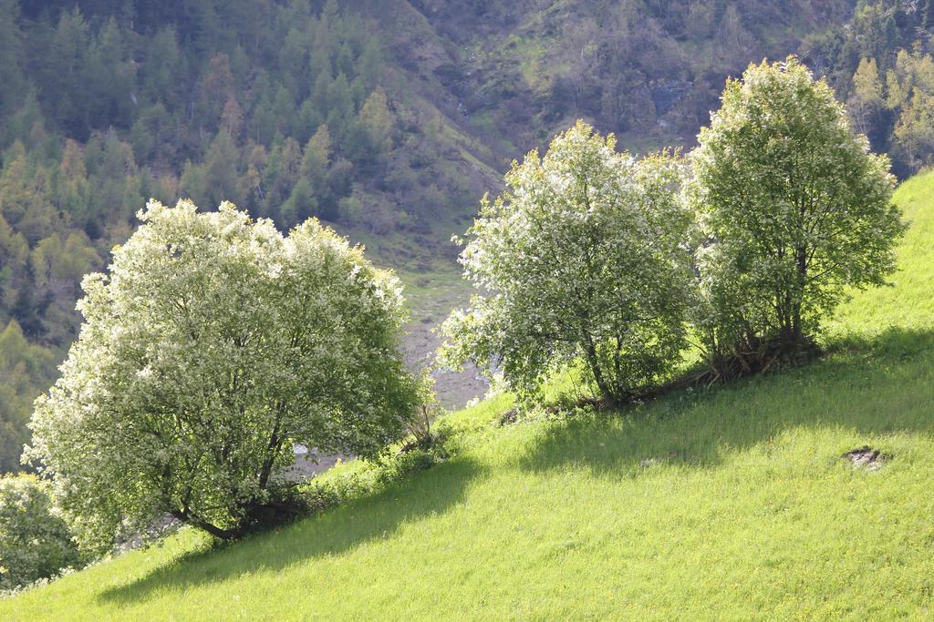 Apart Gletscherblick Kaunertal Εξωτερικό φωτογραφία