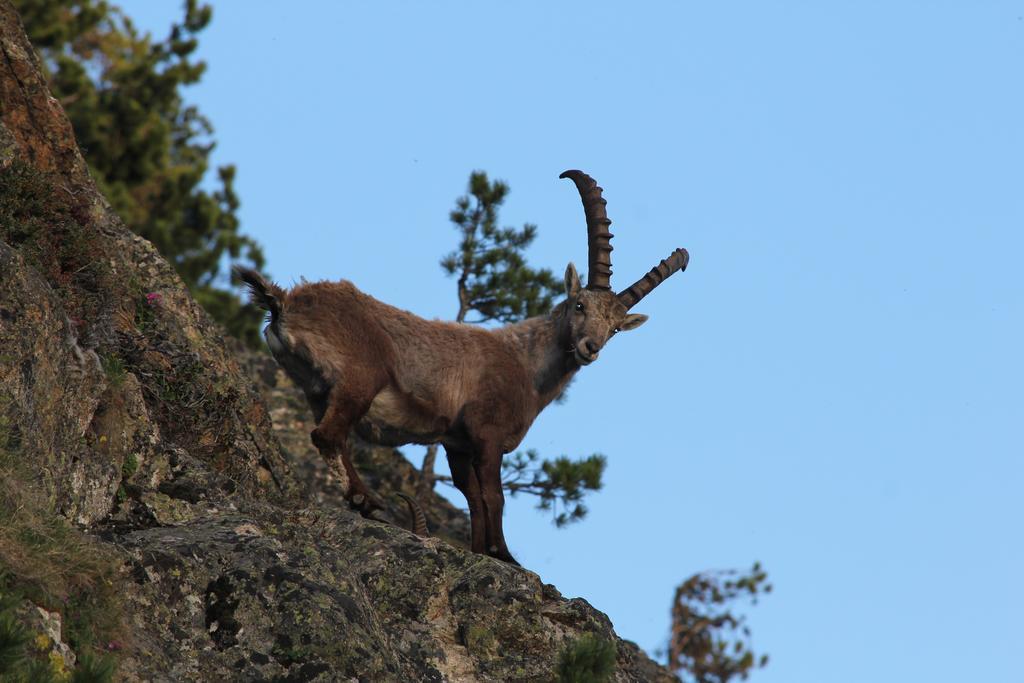 Apart Gletscherblick Kaunertal Εξωτερικό φωτογραφία