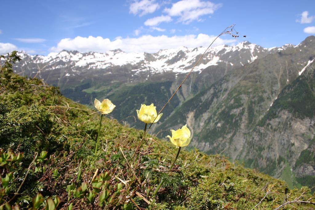 Apart Gletscherblick Kaunertal Εξωτερικό φωτογραφία
