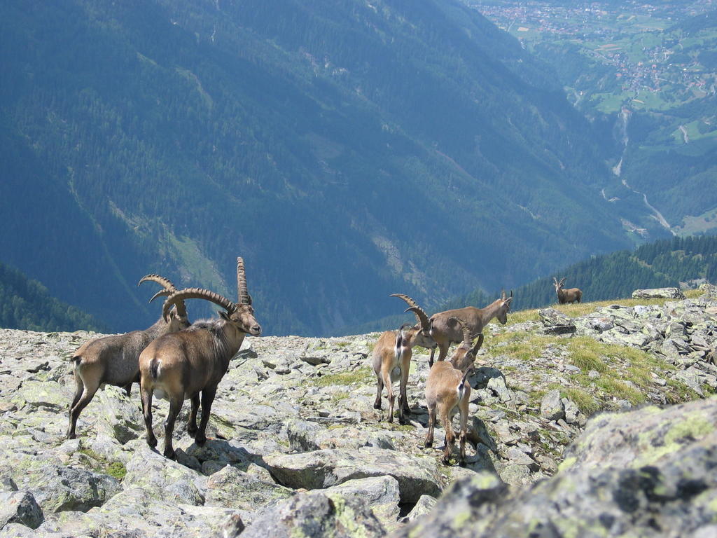 Apart Gletscherblick Kaunertal Εξωτερικό φωτογραφία